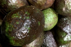 avacodos