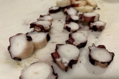 fresh-octopus-barrio-14