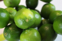 limes-barrio-14-scaled